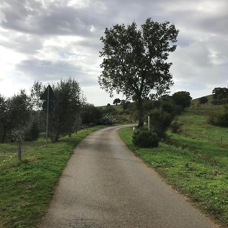 Podere Pini Magliano in Toscana Kültér fotó