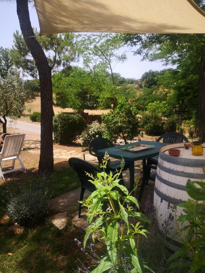Podere Pini Magliano in Toscana Kültér fotó