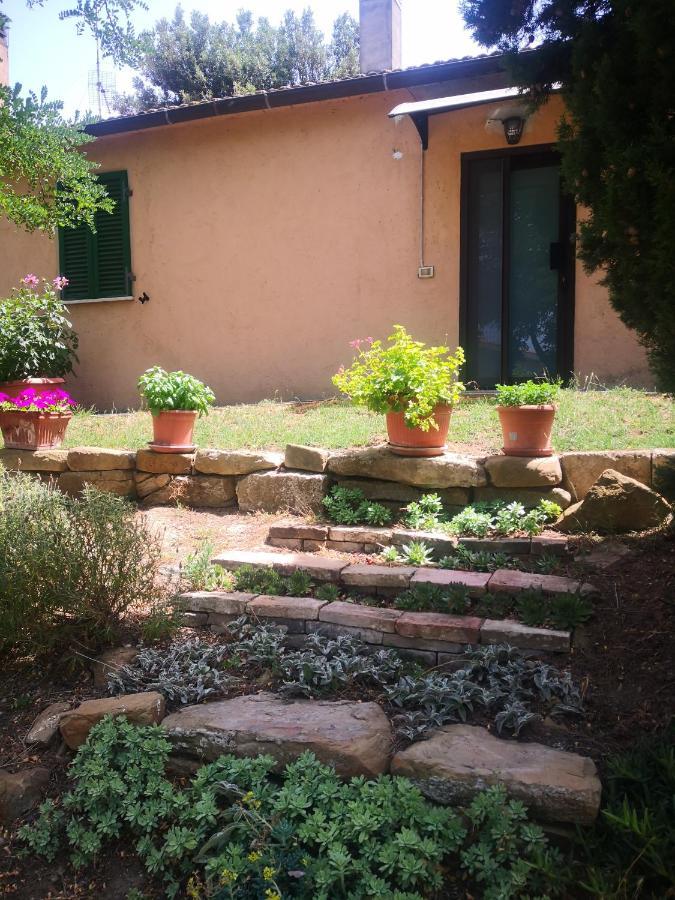 Podere Pini Magliano in Toscana Kültér fotó